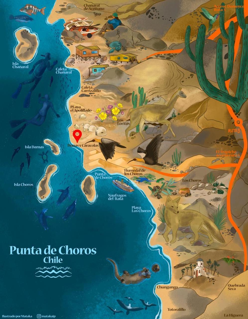 Entre Dunas Y Caracolas 푼타 데 초로스 외부 사진